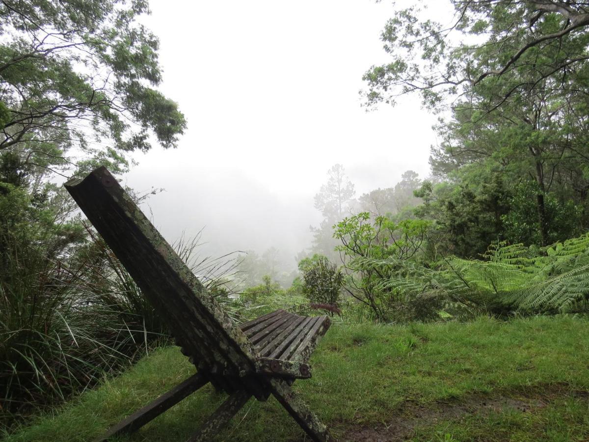 Crown Ridge Miners Cottage Karangahake Exterior photo